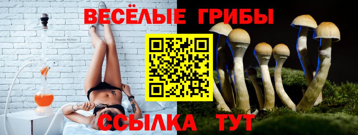 Тихорецк  Псилоцибиновые грибы мицелий  Вход с VPN  Псилоцибиновые грибы мицелий 